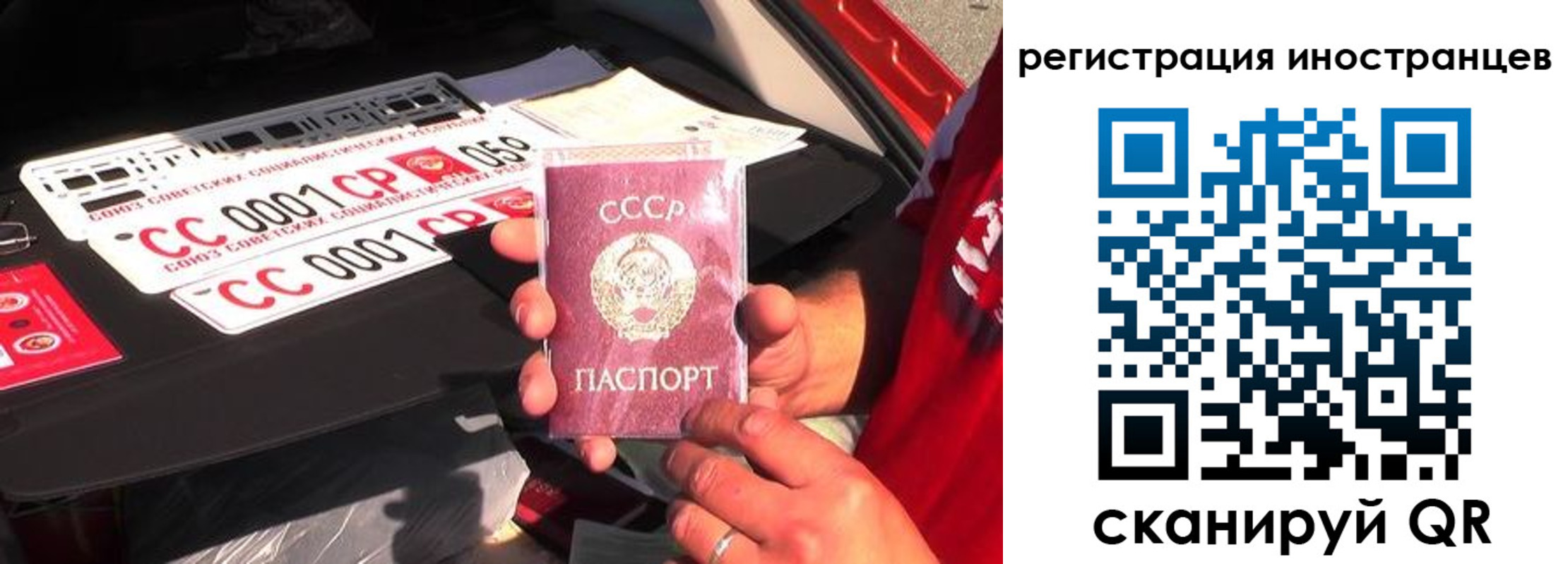 прописка гарантия в Эртили